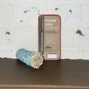 iPhone 12 mini Pela Case in Terracotta